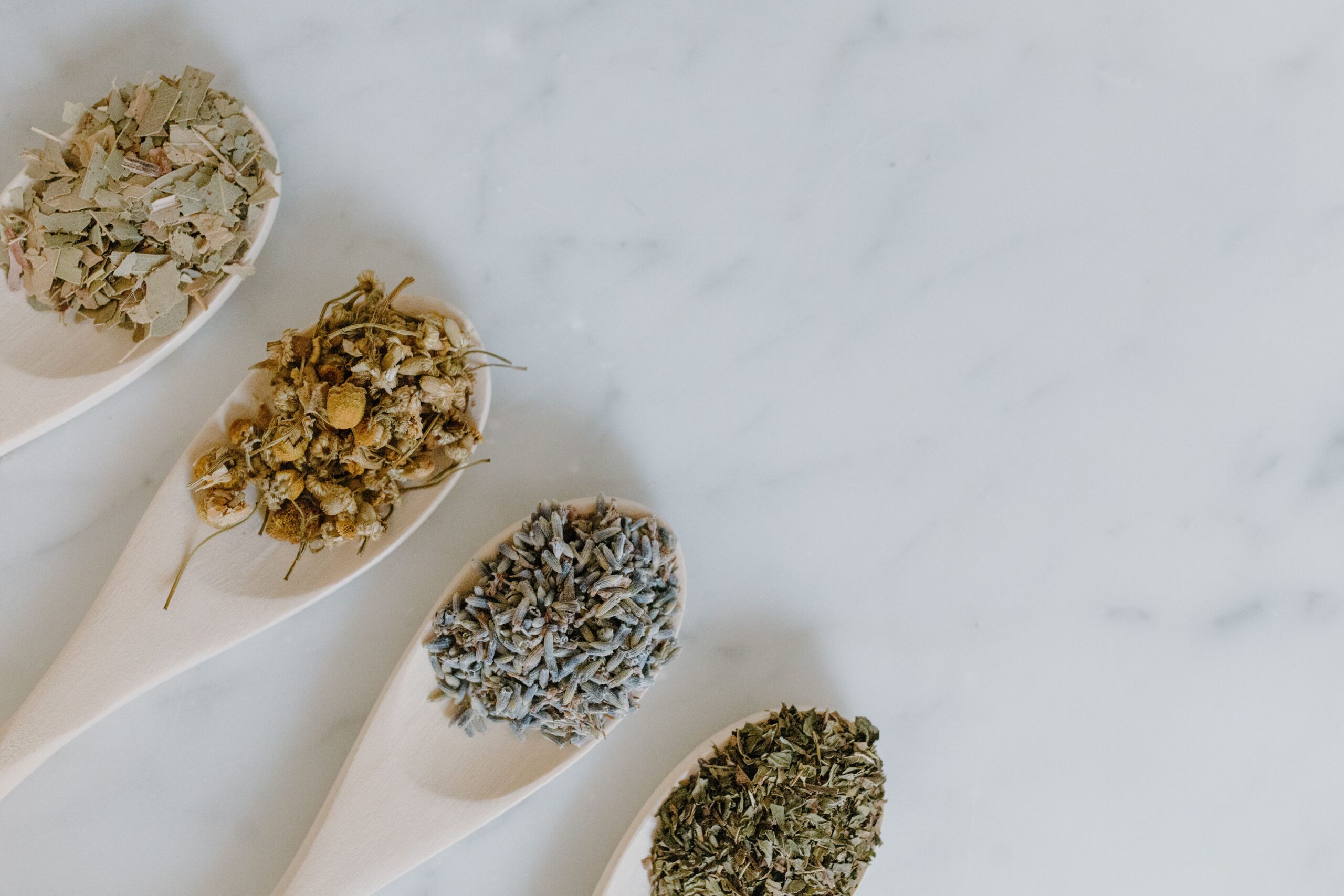 Plantes médicinales et herbes aromatiques utilisées en naturopathie à Étampes